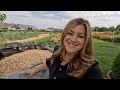 Harvesting Our Wheat & Turning it Into Flour! 🌾✂️👩‍🍳 // Garden Answer