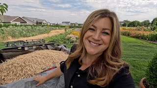 Harvesting Our Wheat & Turning it Into Flour! 🌾✂️👩‍🍳 // Garden Answer