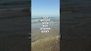 הרב שלום סבג - שיעורי וידאו - הרב שלום סבג – דיבורים כגחלי אש 🔥