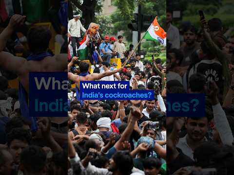 Where does India's Cockroach movement go from here? | DW News