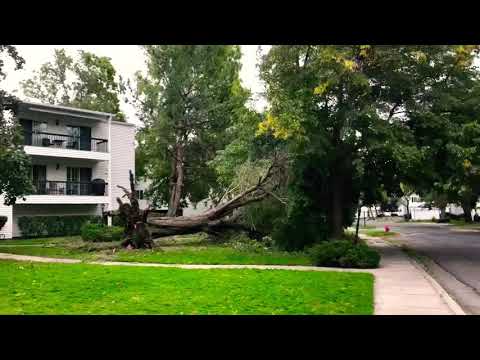 Utah Wind Storm Sept 2020