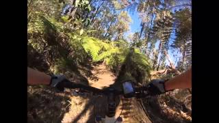 preview picture of video 'Buxton MTB Tracks (Vic, Australia) Sept 2014 - Spring is Here!'