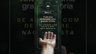 Bom dia