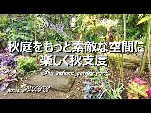 バラの装飾: 真似したい美しいアイデア 植物