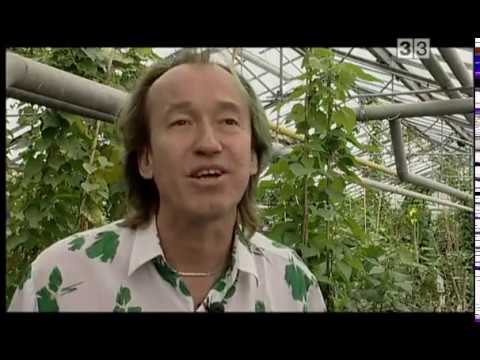 The private jungles of Patrick Blanc