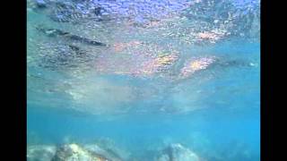 preview picture of video 'Pietra Ligure vista dall'acqua'