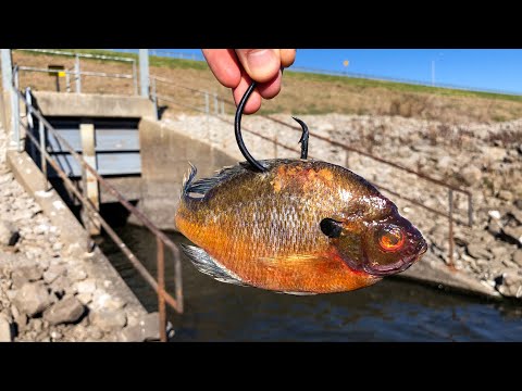 YouTube video about: What is pb in fishing?