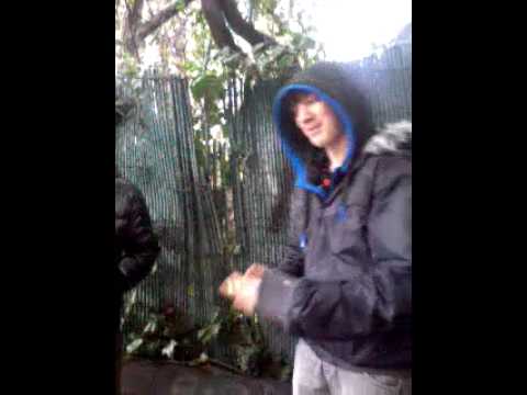 Enerk vs axeloner batalla de gallos