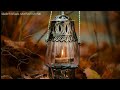 Flute Status Rahena Hain Tere Dil Main Status Good Night M M Srushti Special Whatsapp Status