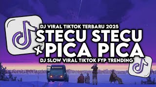 Download lagu DJ TIKTOK STECU X PICA PICA SLOWED VIRAL TIKTOK 2025 mp3