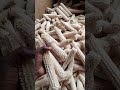 Making Your Own Chicken Feeds