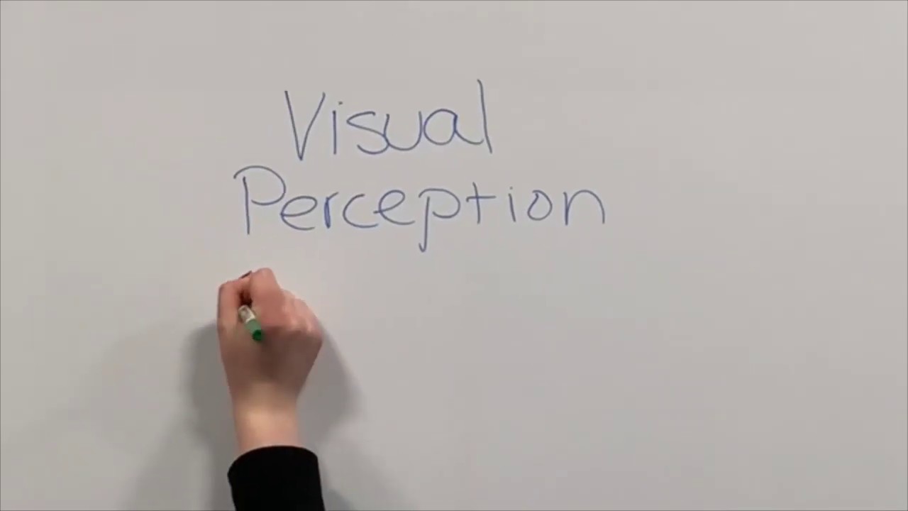 Visual Perception by Brianna
