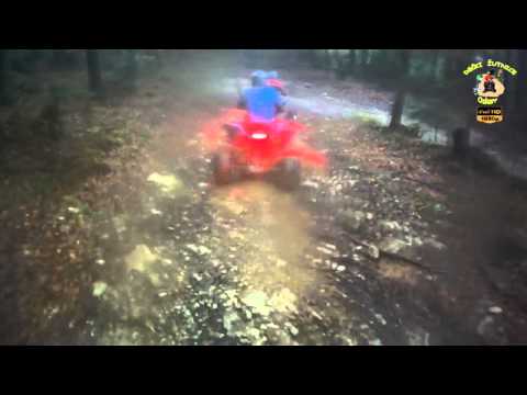 293.DEČKI ŽUTNICE - Trio Rio