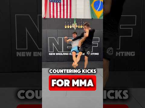 How To Catch and Counter Body Kicks For MMA