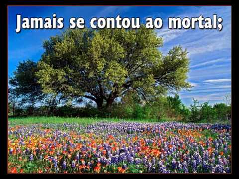 A  Bela  Cidade     -   Hino  556