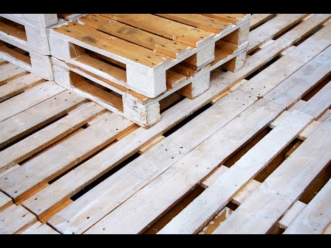 Roland Tomasz Krzyżaniak - video