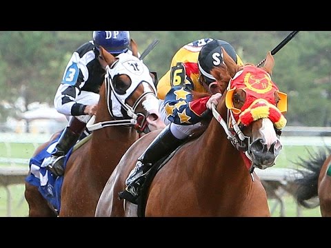 AQHA Racing Challenge Update 3 - Aug 8, 2016