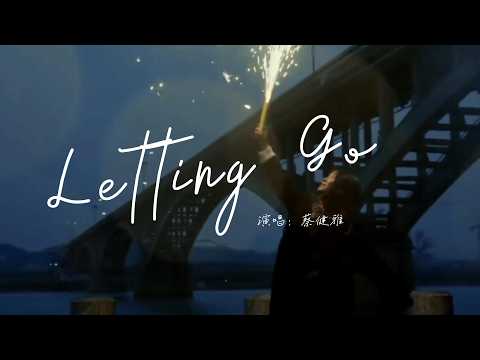 蔡健雅 - Letting Go「I'm letting go，我終於捨得為你放開手，因為愛你愛到我心痛，但你卻不懂。」【動態歌詞】