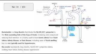 bumetanide, loop diuretic, Na⁺K⁺2Cl⁻ symporter, edema, swelling, heart failure, kidney disease