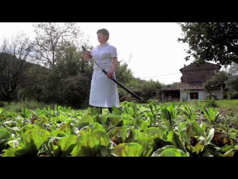 Stari podrum - Most, Momjan