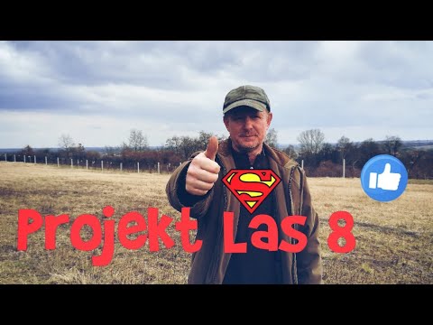 Projekt Las 8 Powrót do foliowego lasu