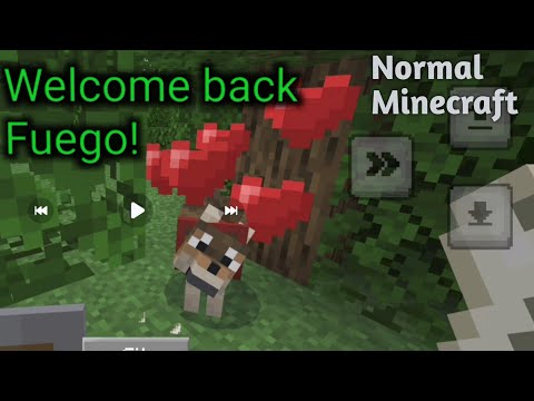 Expanding my Nether Hub