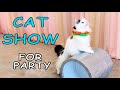 CAT SHOW For ONLINE Birthday Party For Kids THE SAVITSKY CATS