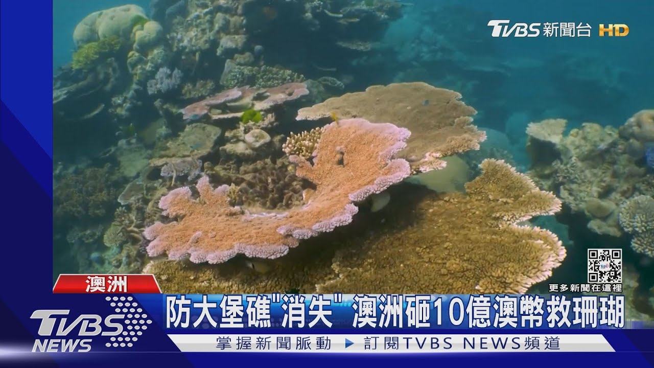 砸10億澳幣救珊瑚! 澳洲防大堡礁被「世遺」除名