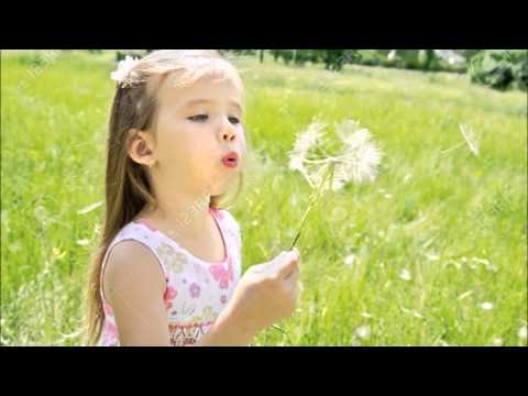 Formatia Sylex 2015 - Fata mea