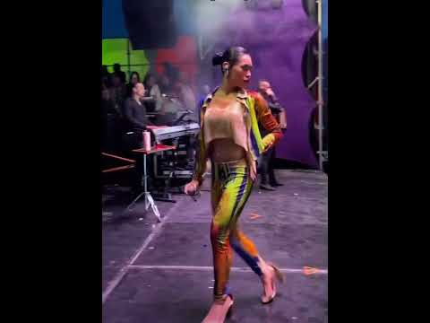 Tremenda pelea en concierto de Paola Jara y Ana del Castillo. #paolajara #anadelcastillo #concierto