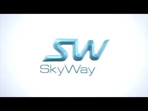 Как проверить акции SkyWay. Венчурный ТОП - Проект 21 века.