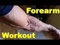 Big Forearms in less than 10 Minutes | Forearm Workout