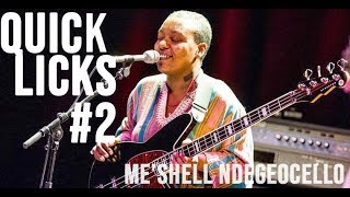 Quicks Licks #2 - Me&#39;shell Ndegeocello