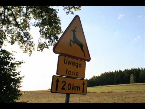 Kukiz & Borysewicz  - Niby Jestem Niby Nie