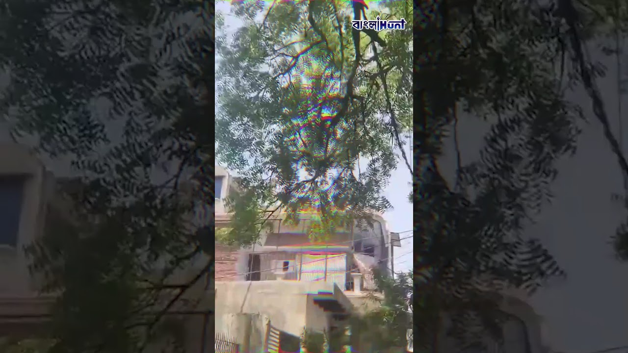 আদালত চত্বরে টাকার বৃষ্টি, গাছের উপর থেকে মুঠো মুঠো ৫০০-র নোট ছড়িয়ে দিল বানর, কুড়োতে হুড়োহুড়ি !