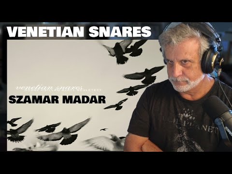 Lets Check Out VENETIAN SNARES Szamar Madar - Music Nerd Reactions