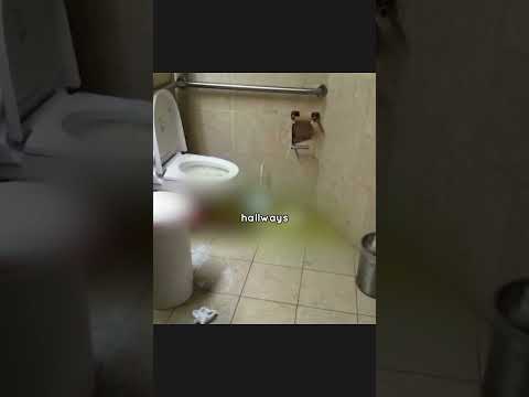 The Poop Cruise From Hell