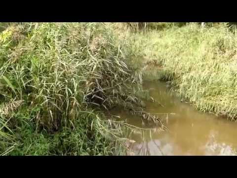 Roggel en haar omgeving