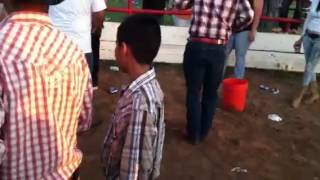 La loba del mal rieleros del Norte