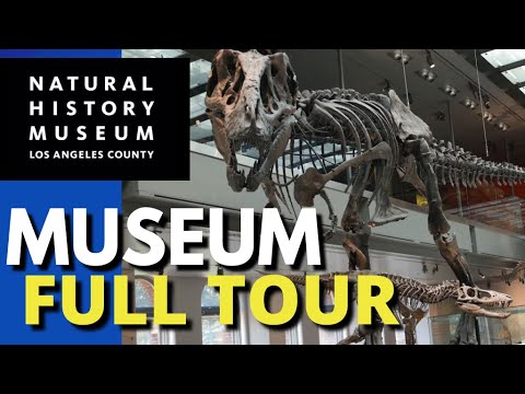 Los Angeles Natural History Museum | Everything In 8 Minutes