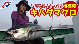 キハダマグロ、カツオをコマセ仕掛けで狙え！【つりにいこうよ。】相模湾でマグロ釣りにチャレンジ