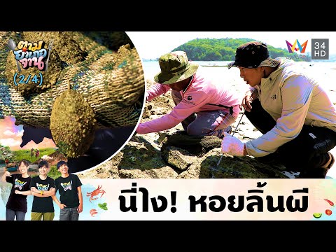 คลิกเพื่อดูคลิปวิดีโอ