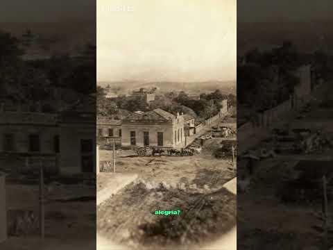 São Francisco de Assis (RS): Um Olhar Sobre o Passado, Feito e editado por IA