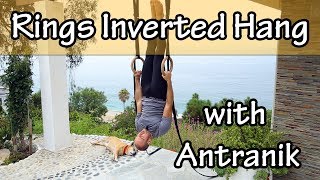 Still Rings Basics: Learn the Inverted Hang with Antranik