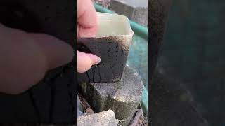 Gorilla Waterproof Patch and Seal spray review