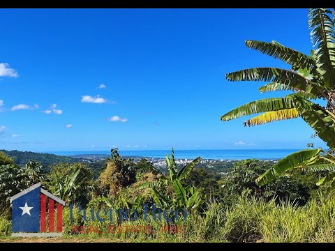 Stunning 10+ Acre Property with Ocean Views in Mayaguez, PR | Perfect for Development & Investment