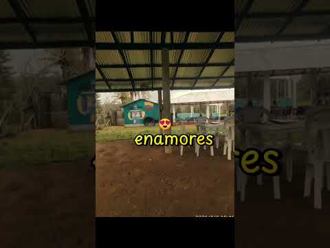 sede manta gorda turbo Antioquia