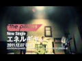 the pillows / エネルギヤ TVスポット映像 