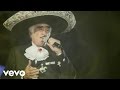 Vicente Fernández - Amar y Vivir (Audio)