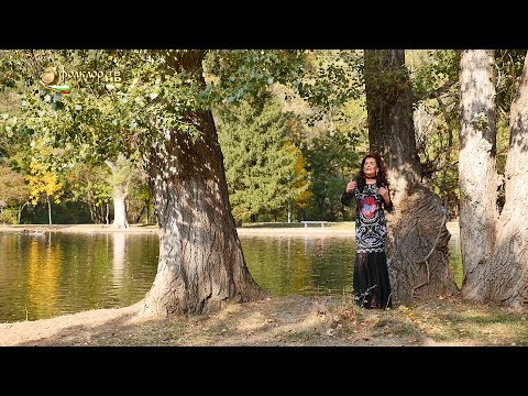 Величка Георгиева – Ако бевме заедно